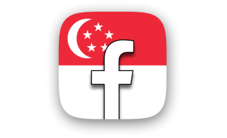 [货号1394]Facebook账号 | 全新账号 | 新加坡IP注册 | 邮箱可用 | 已设置2FA | cookie（以JSON格式）-海外粉丝吧